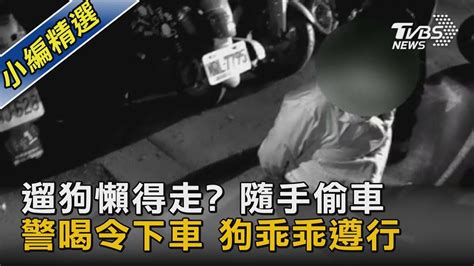 遛狗懶得走 隨手偷車 警喝令下車 狗乖乖遵行｜tvbs新聞 Tvbsnews02 Youtube