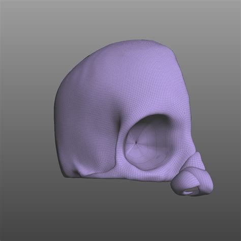 Head Human Nose 3d Model Turbosquid 1520708