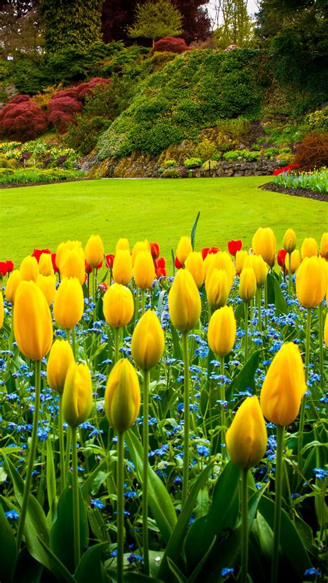 Queen Elizabeth Park Vancouver Man Made Garden Earth Flower Garden