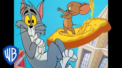 Tom Y Jerry En Latino Ratón De Ciudad Grande Wb Kids Youtube