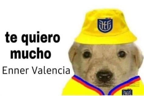 Enner Valencia proclamado como héroe y presidente los memes tras la