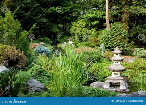 Peaceful Japanese Garden Stock Photo Image Of Bushes 15699736