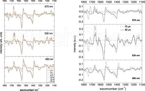 Figure From Time Resolved Ftir Difference Spectroscopy Reveals The