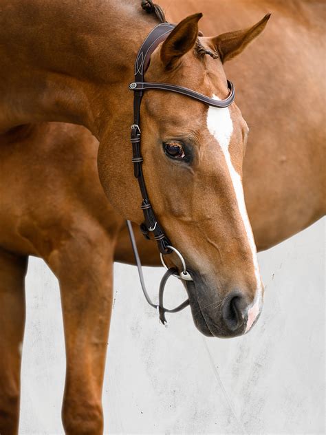 Helsinki Bridle • Brown Leather • Ps Of Sweden Anatomical Bridle Ps