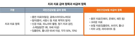 치과의사가 알려주는 치아보험 솔루션 2편 치아보험의 보장항목의 분류 보철치료 A2