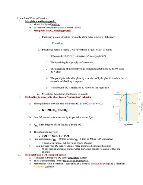 Biochemistry Lecture Notes Lecture Examples Of Protein