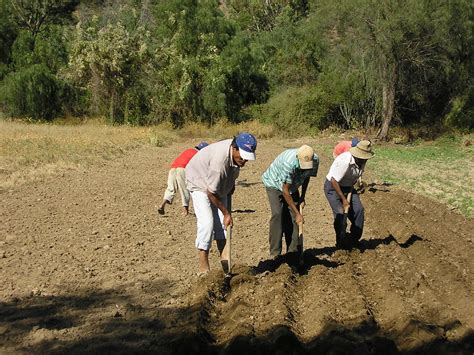 A Look At Sustainable Agriculture In Bolivia The Borgen Project