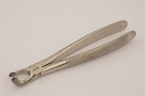 Lower Wisdoms Extracting Forceps Faculty Of Medicine Dentistry And