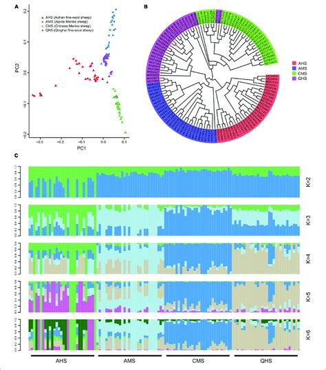 Population Genetics Structure A Principal Component Analysis Of