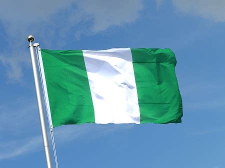 What Do You Know About the Nigerian National Flag? Checkout These 5 ...