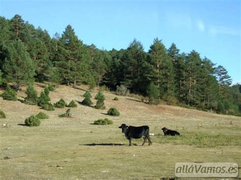 Rutas en la Sierra de Albarracín Teruel Senderismo o BTT AlláVamos