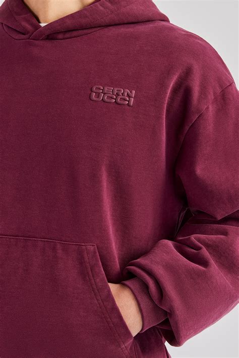burgundy color hoodie 2