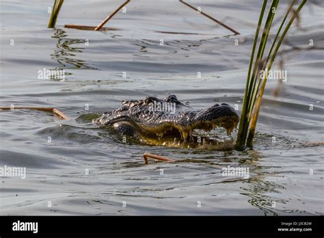 Circle B Bar Reserve Hi Res Stock Photography And Images Alamy