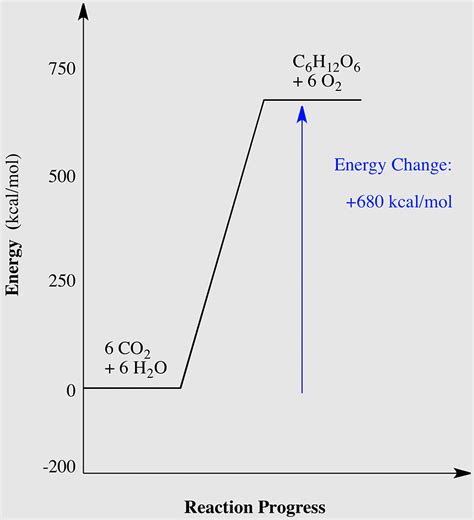 Atp Hydrolysis Animation