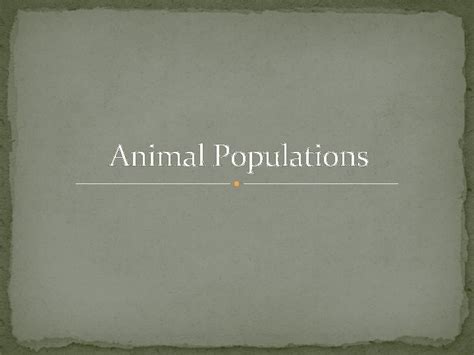 Animal Populations What is a population of animals