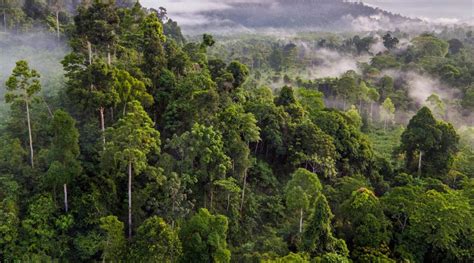 Historical Places To Visit Near Cardamom Mountains (Koh Kong) In 2024 ...