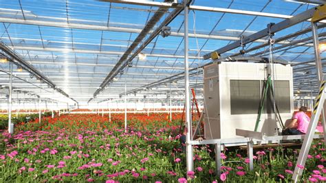 Greenhouse Humidity Control - How Plants Affect Climate Control - Drygair