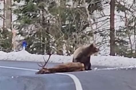 VIDÉO On vous dit d où proviennent ces images impressionnantes d un