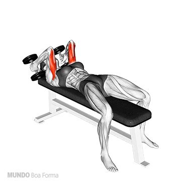 Exercicio De Digitação Online - Treino de Braços Completo: Maximize Seus Resultados com os 5 Melhores ...