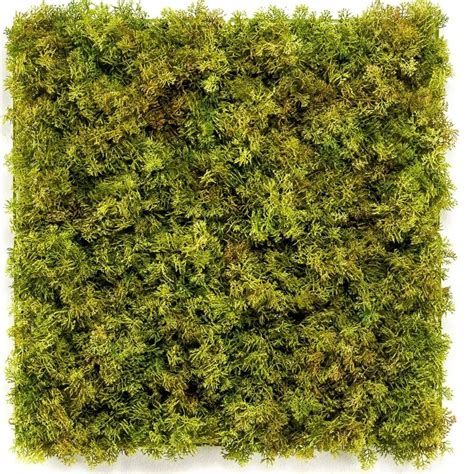 Haie Artificielle Nordic Moss X Cm Uv Greenmoods