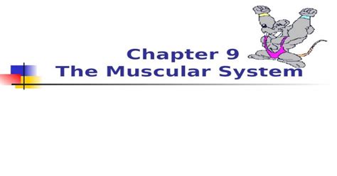 Chapter 9 The Muscular System Skeletal Muscle Structure Tendon