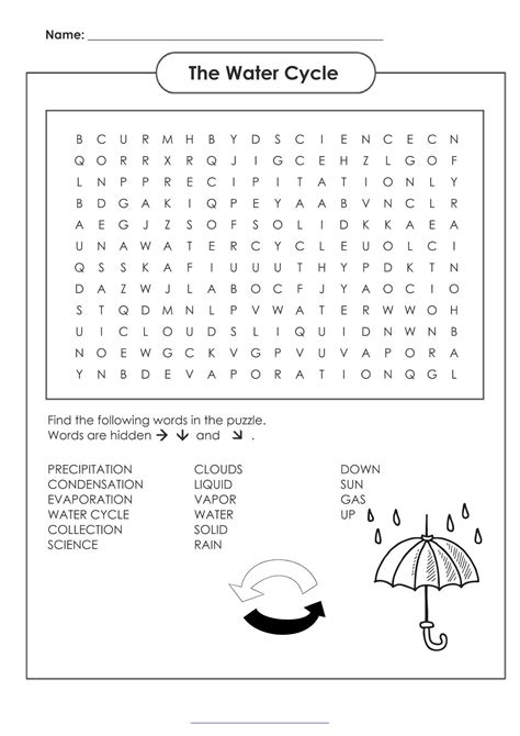 The Water Cycle Word Search Digital Download Etsy