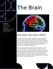 The Brain Newsletter Docx The Brain Shyanne Henderson Psy General