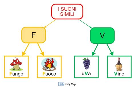 I Suoni Simili F V Dsa Study Maps Junior