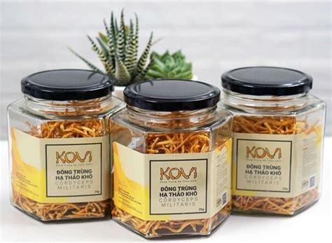Giới Thiệu Về đông Trùng Hạ Thảo Kovi - Chi Nhánh Đà Nẵng - HanamiHotel.Com