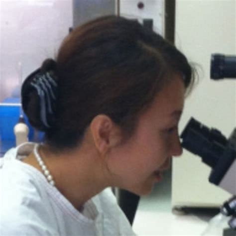 Ying CHENG Research Associate PhD MSc BSc UNSW Sydney