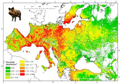 Wild Boar Population Density for Europe (2015) : europe