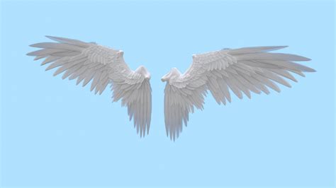 Wings - 3D Model by Aleanian