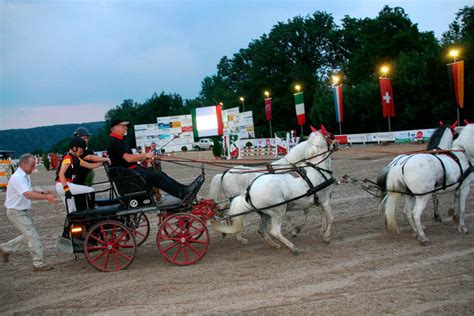 Reitturnier In Schopfheim Schopfheim Fotogalerien Badische Zeitung