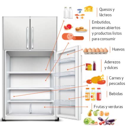 Higiene De Los Alimentos Y Correcto Orden En La Heladera Prensa