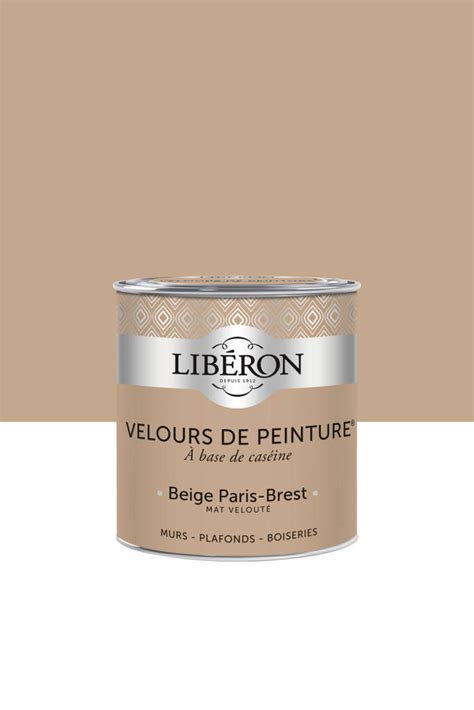 Velours De Peinture Couleur Beige Paris Brest Lib Ron