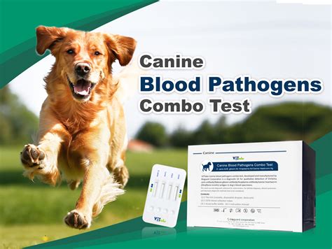 Bioguard Blood Pathogen Test: An appropriate blood parasite pathogen