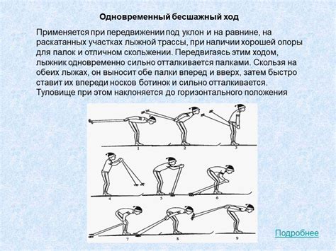 Презентация "Лыжная подготовка" (9 класс) по физкультуре – скачать проект