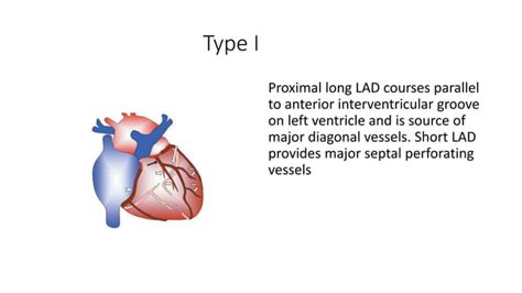 Dual Left Anterior Descending Coronary Artery Ppt