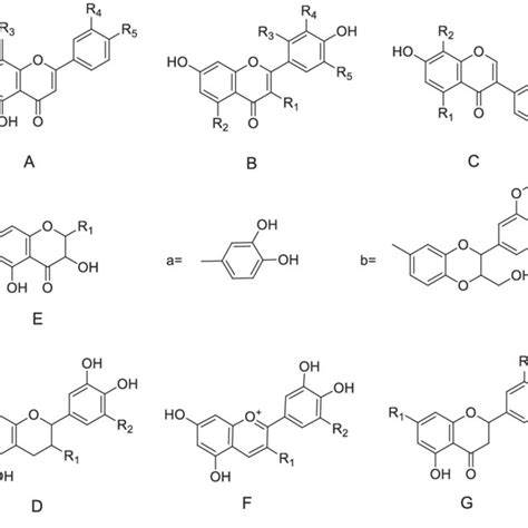 Skeleton Structures Of Active Flavonoids A Flavones B Flavonols C