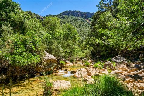 Río que pasa en la Cerrada de Utrero en Sierra Cazorla Parque Natural