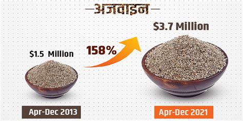 अजवाइन के निर्यात में 2013 के बाद से देखी जा रही है लगभग 158 प्रतिशत की वृद्धि