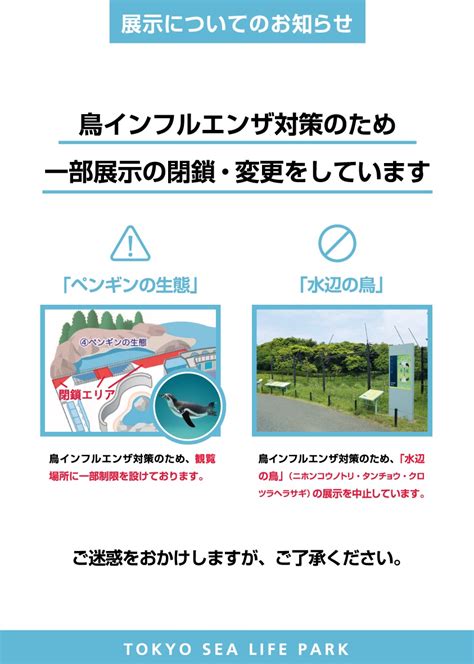 高病原性鳥インフルエンザの疑われる事例が多摩動物公園で発生したことを受け、葛西臨海水族園では「水辺の自然」エリアにおいて、鳥類の展示を一部中止