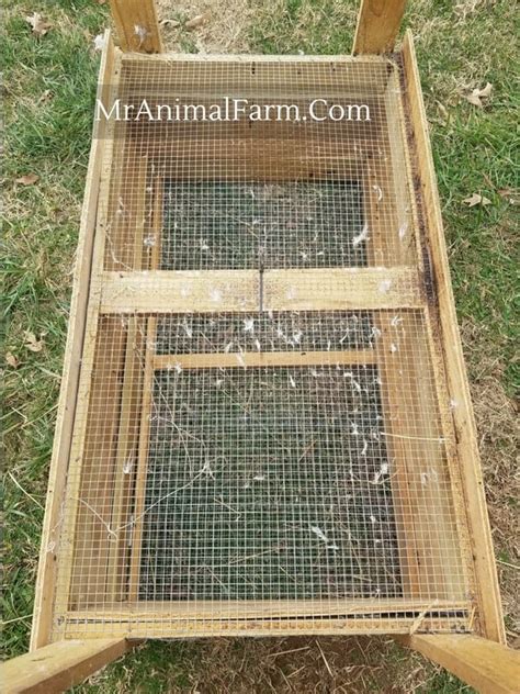 Chicken Brooder Easy Free Diy Chicken Brooder Plans