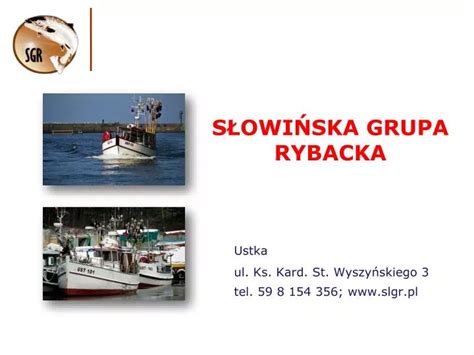 PPT SŁOWIŃSKA GRUPA RYBACKA PowerPoint Presentation free download