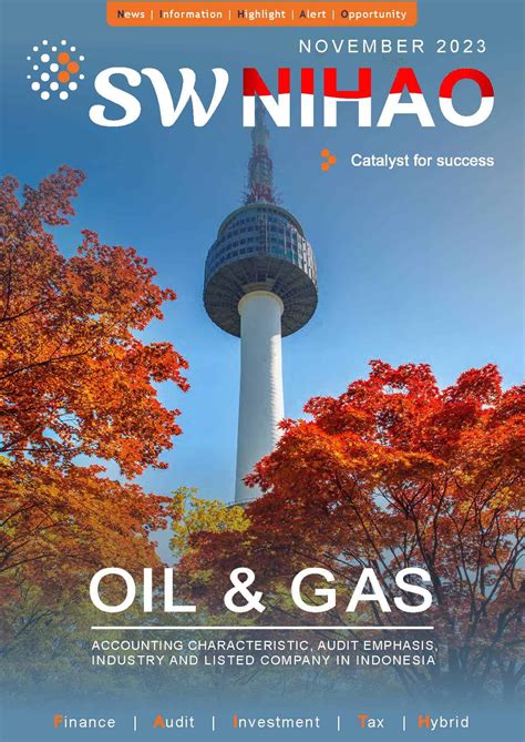 sw indonesia public accounting firm indonesia