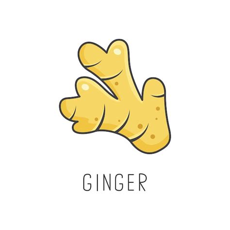 Premium Vector Ginger Line Vector Illustration Cooking Isolated Icon