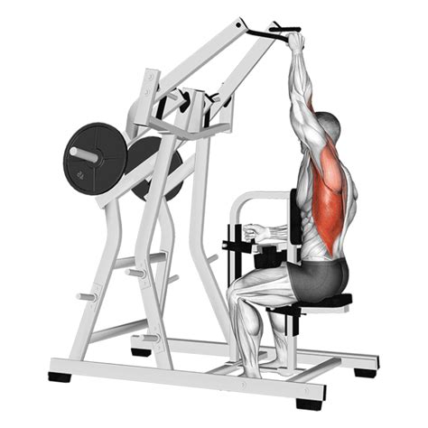 Tirage Vertical En Supination La Machine Hammer Strength Comment Et