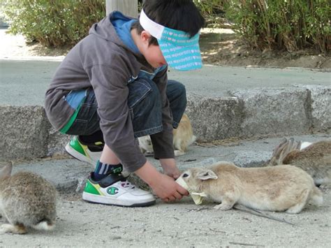 Okunoshima Rabbit Island