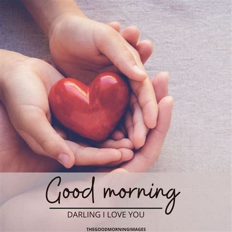 65 Good Morning Darling Images To Wish Your Partner Good Morning