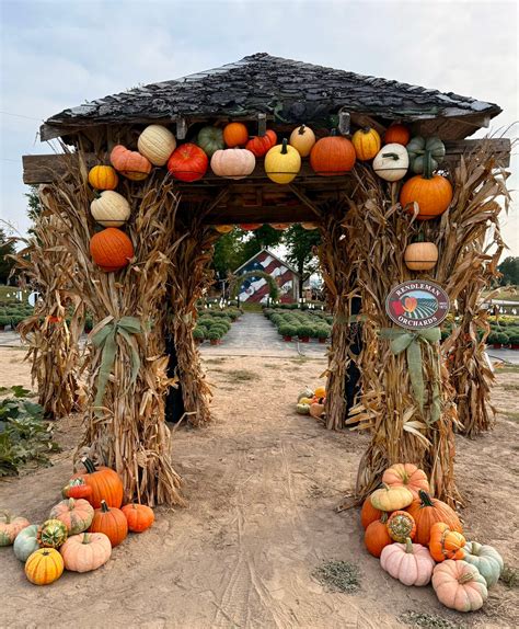 Rendleman Orchards added a new photo... - Rendleman Orchards